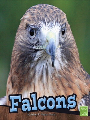 cover image of Falcons